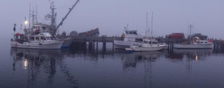 Pismo Dock in the Fog